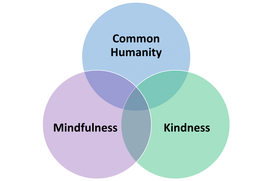 A Venn diagram with common humanity in a blue circle at the top, mindfulness in a purple circle bottom left and kindness in a green circle bottom right.