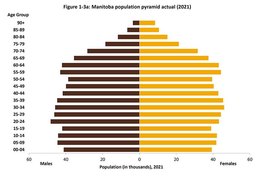 The first population pyramid visually shows the actual age of male and female Manitobans from birth to age 90 years and older.