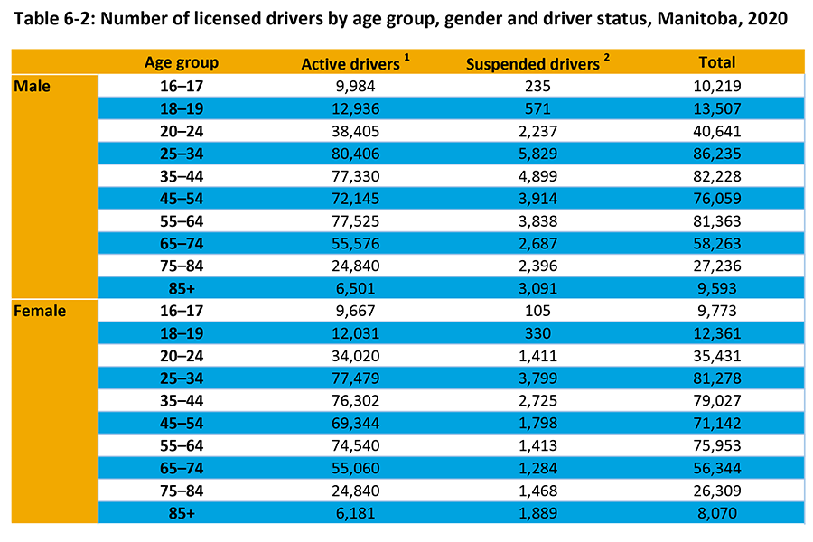 Shown among gender and drivers age 16-85 years and older is the number of active and suspended drivers for 2019.