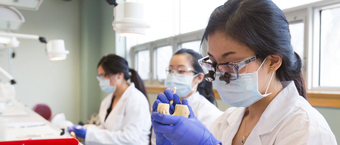 Dental hygiene students work in a lab.