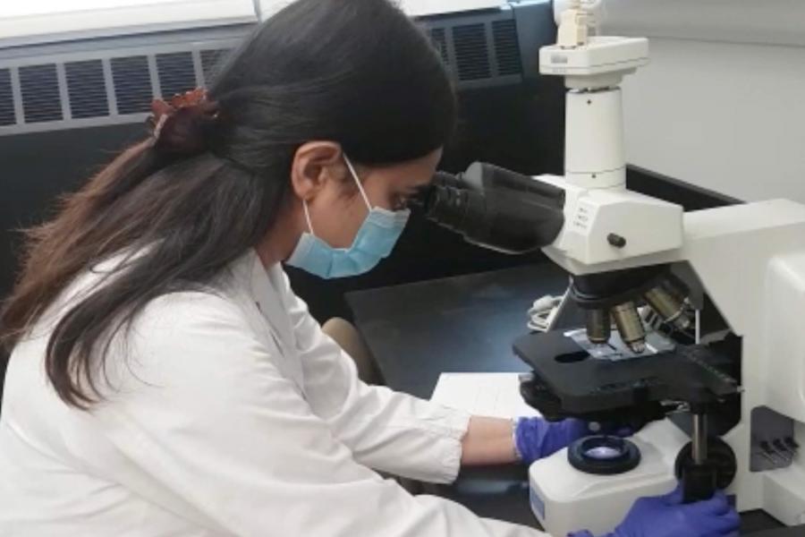 Researcher working with a microscope