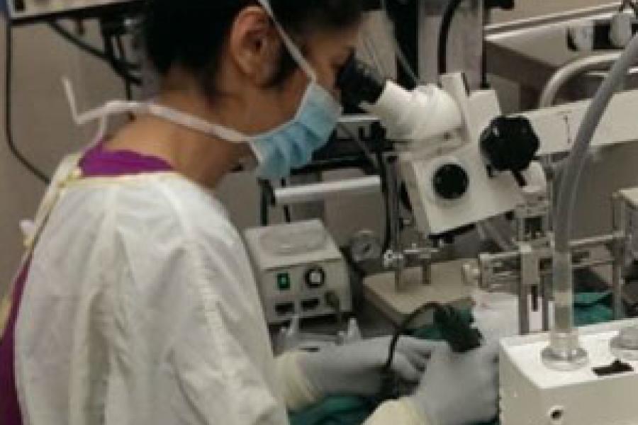 A researcher wearing a lab coat and face mask looking into a microscope.