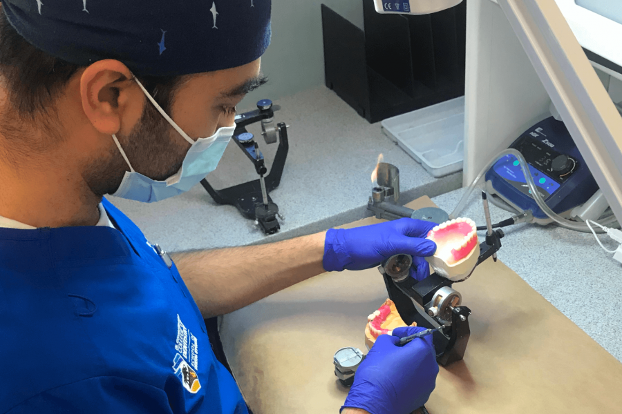 A dentistry student works on a project in a lab.