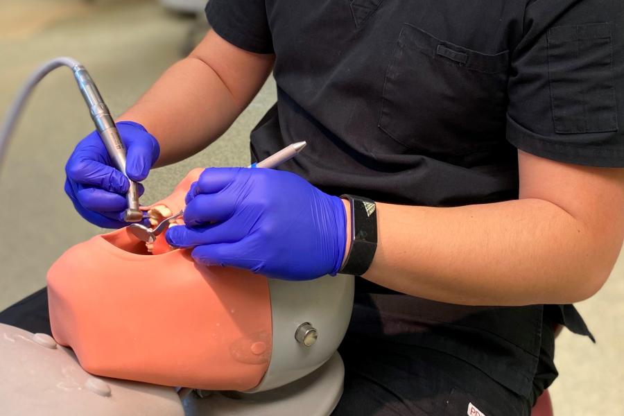 A dental student practicing restorative dental skills on a simulated patient head.