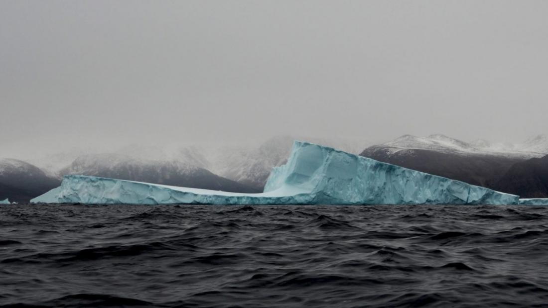 Iceberg in arctic