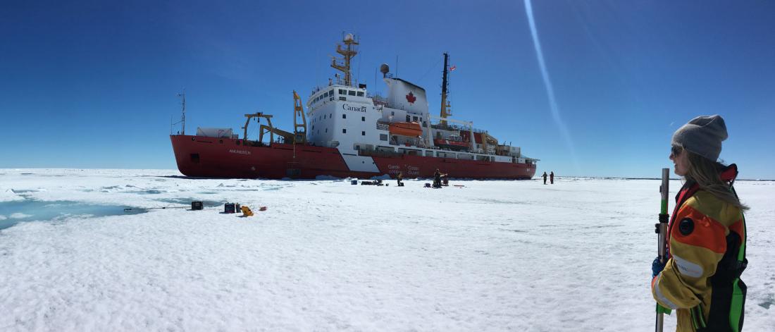A researcher standing on arctic ice in the foreground with the CCGS Amundsen, a research vessel and icebreaking ship, is seen in the background.