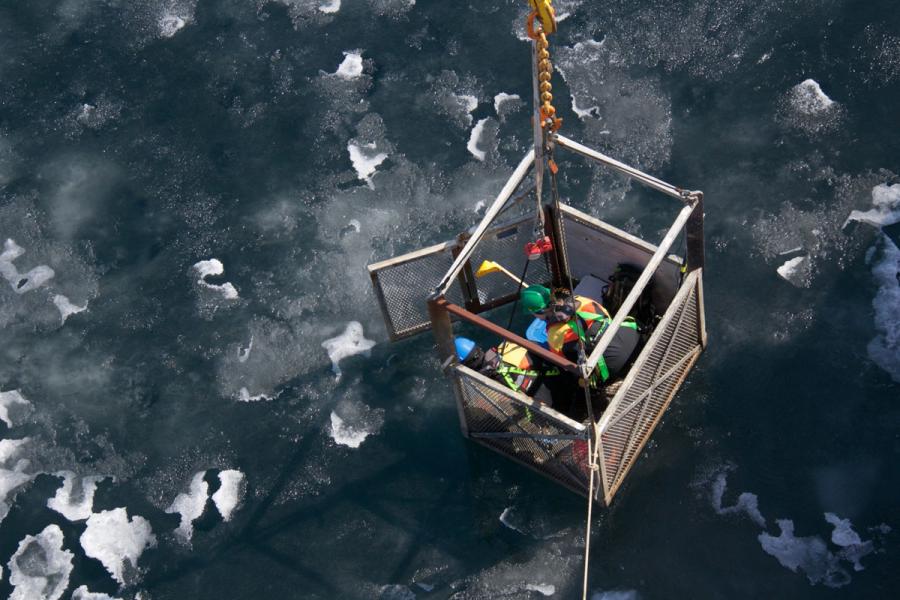 Team being lowered into ocean in a cage to take water samples.