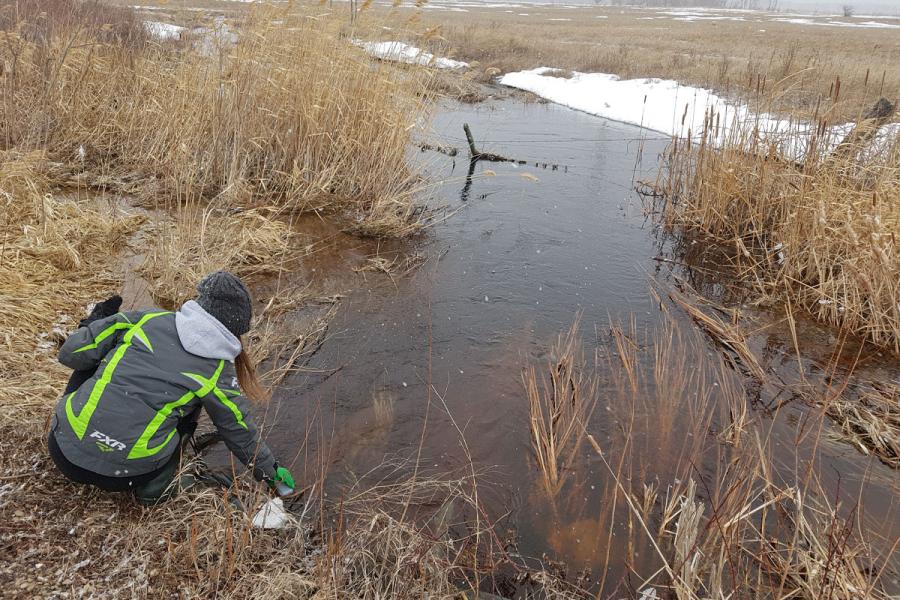 Graduate student Katelyn Rodgers collecting water quality samples in a stream near Waterhen, MB.