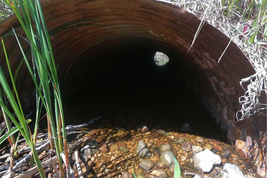 inside of downstream culvert on German Creek.