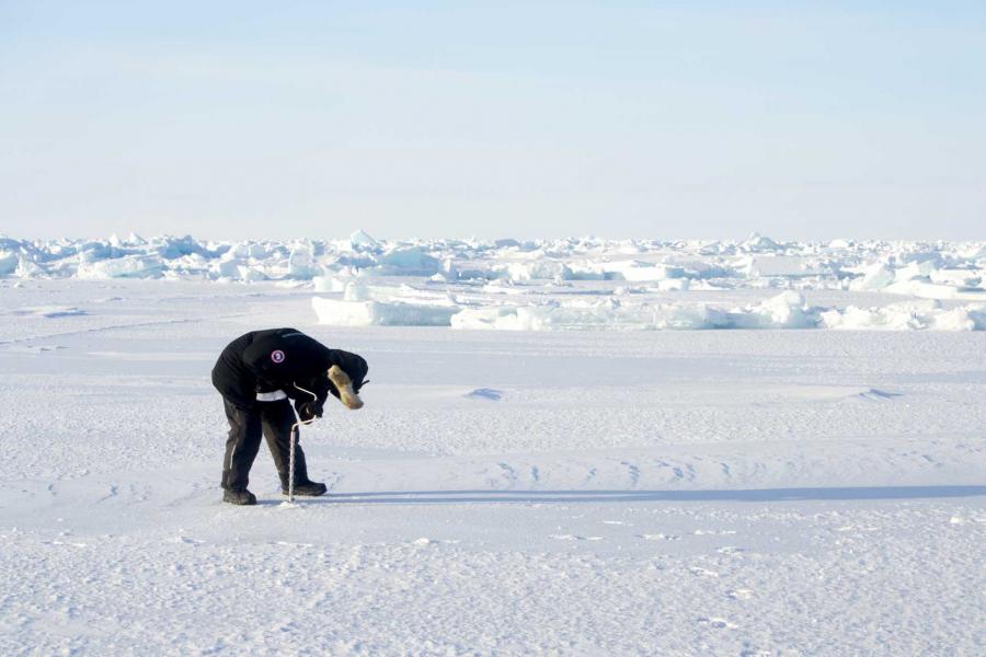 A researcher collecting ice cores.