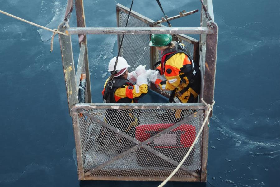 Two researchers sampling sea ice for mercury