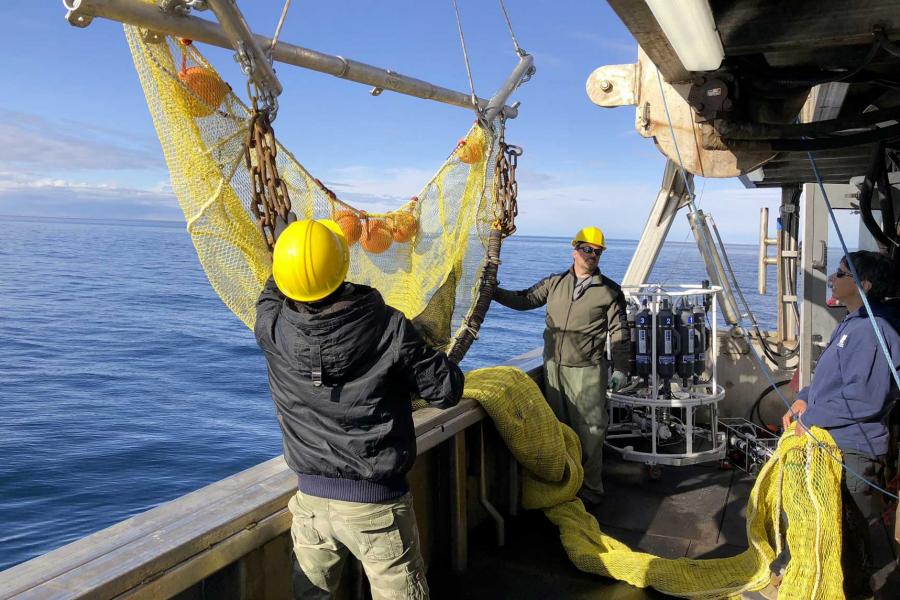 researchers working with nets aboard a ship.