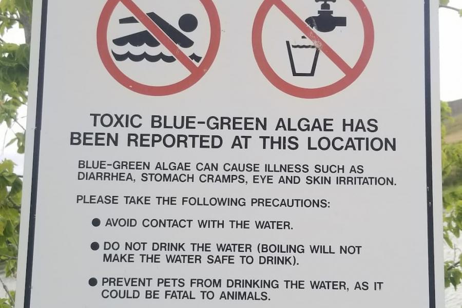 Close-up photo of the algae advisory sign