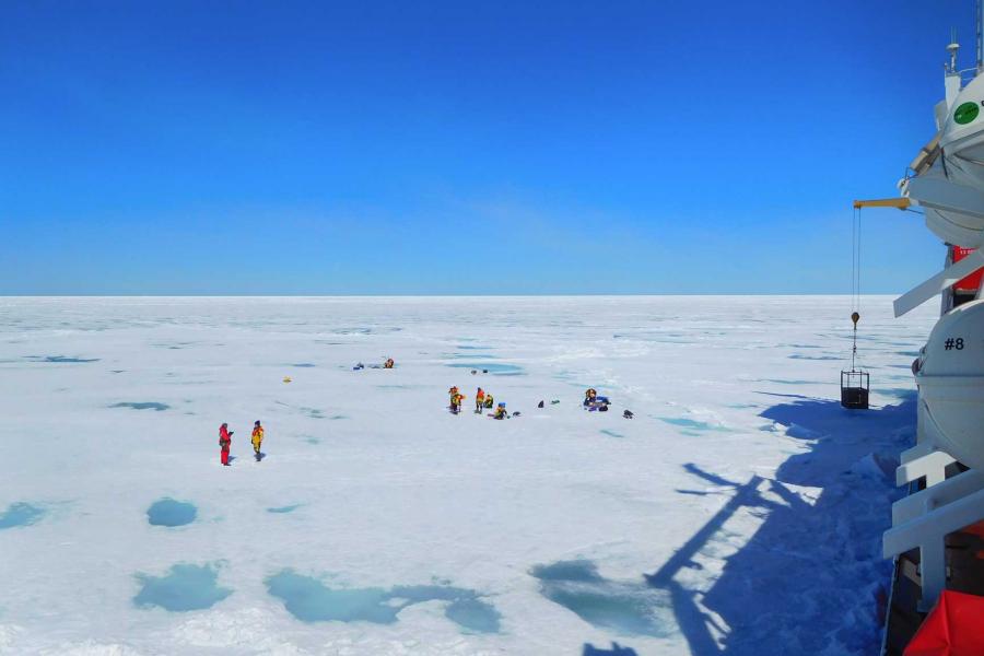 researchers walking on sea ice.