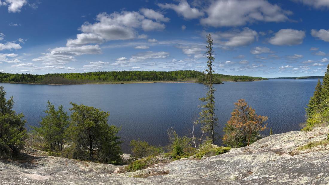 A landscape photo of trees rocks and a river in the distance.