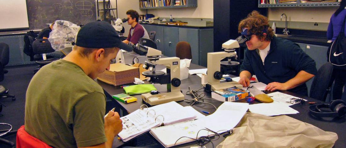 Two faculty of environment students work at a desk. 