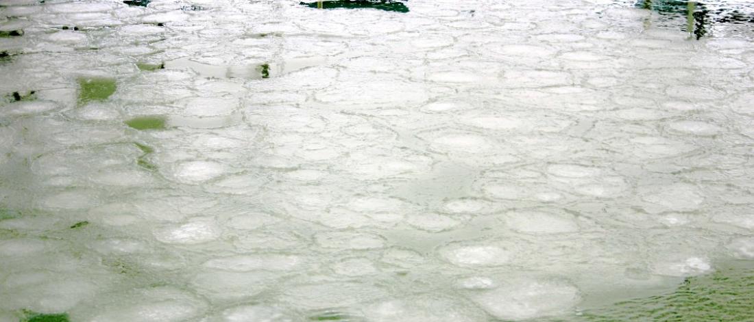 Pancake ice at SERF