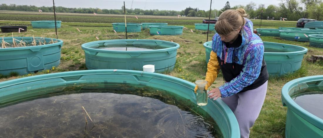 student water sampling