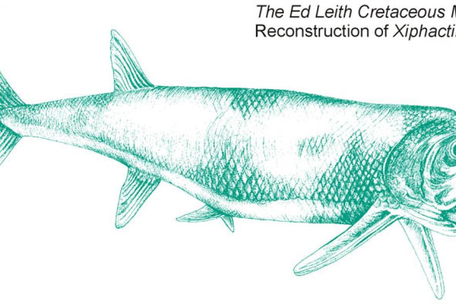 Artist reconstruction of bony fish at cretaceous museum.
