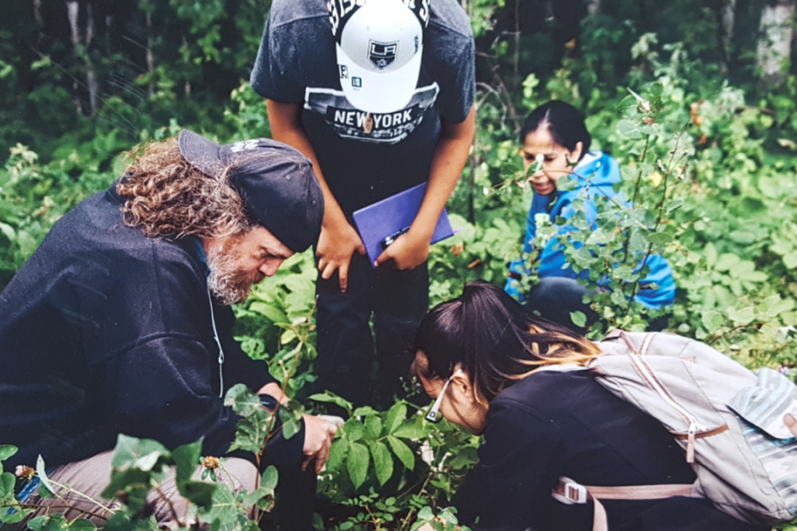 Dr. stephane mcLachlan and students study a plant in the forest.