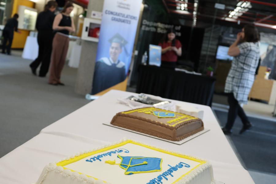 Cakes for graduates