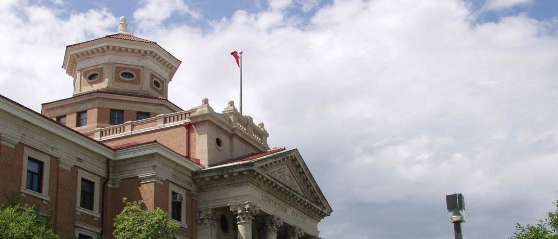 Administrative building and bright sky. 