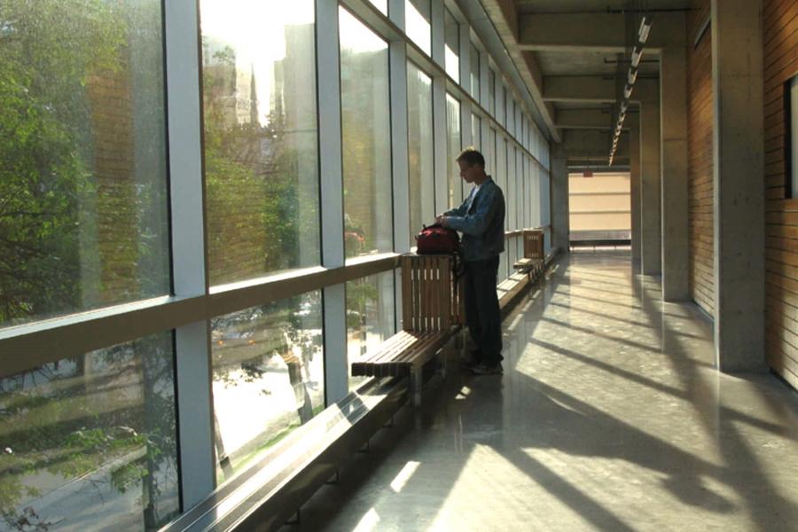 Person looking out window in Apotex building.