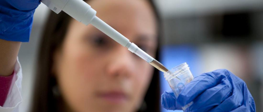 A dentist works with a sample.