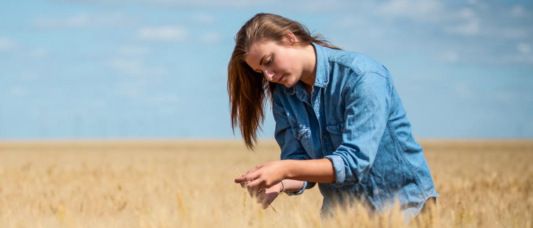 A student carefully inspects wheat in a field.