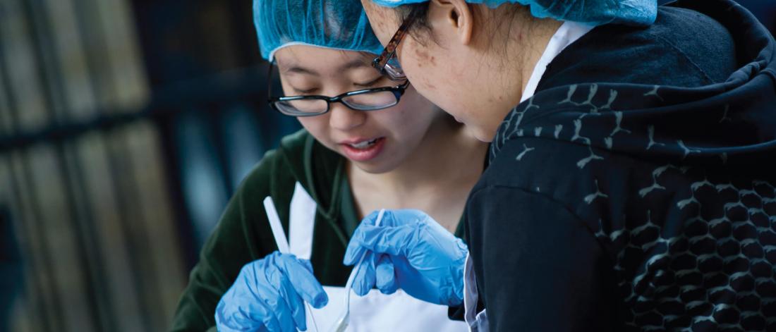 Two students wearing hair nets and gloves carefully inspect food samples.