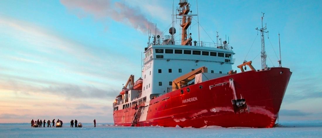 A group of researchers stand out on an ice field beside a large research vessel.
