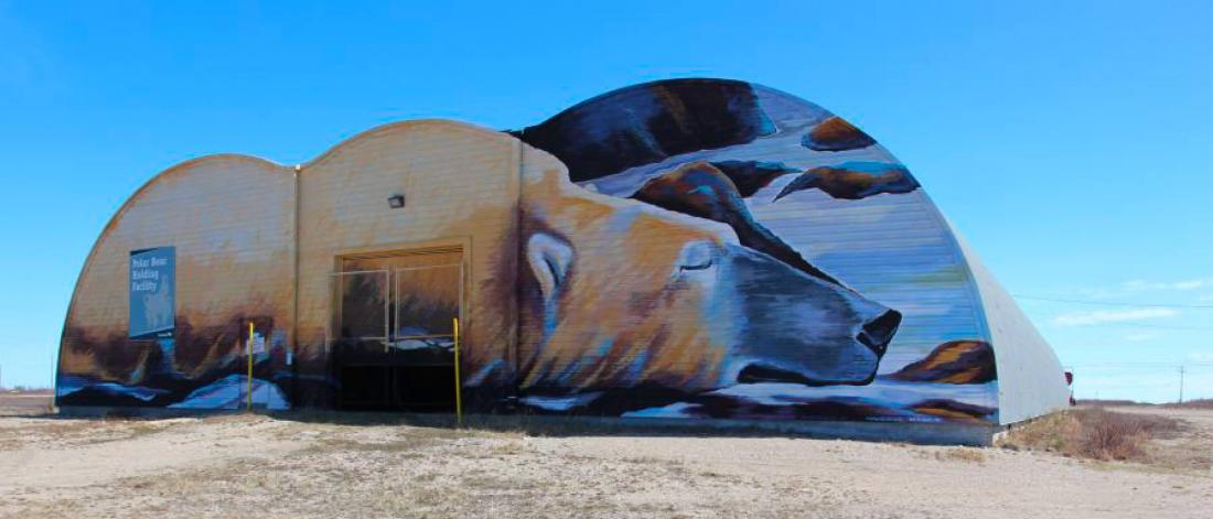 A mural of a polar bear painted on a large building.