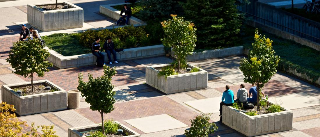 Students gather in small groups of two and three in an outdoor living rooftop greenspace.