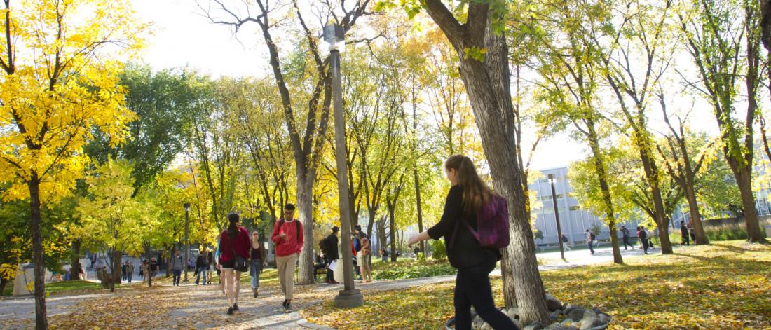 Students walking outdoors to and from class. 