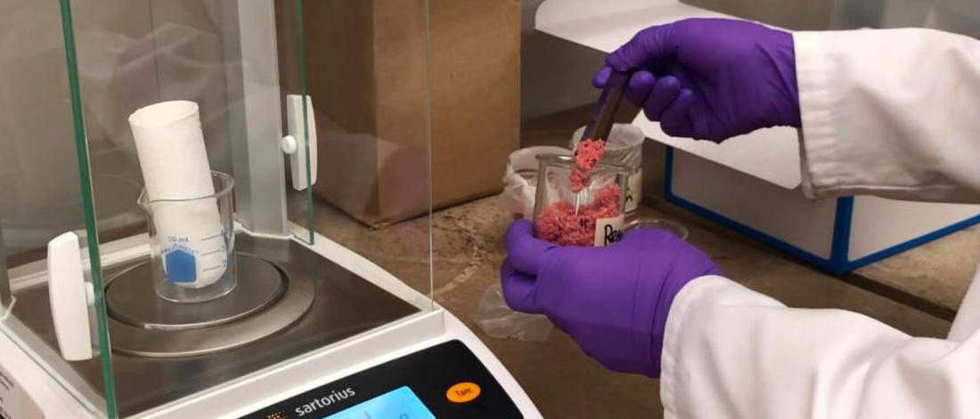 a pair of gloved hands carefully work with a piece of laboratory equipment and food samples. 