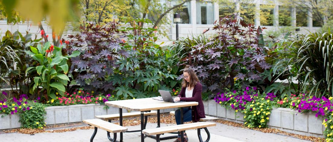 A student works on a laptop while seated at an outdoor table surrounded by flowers. 