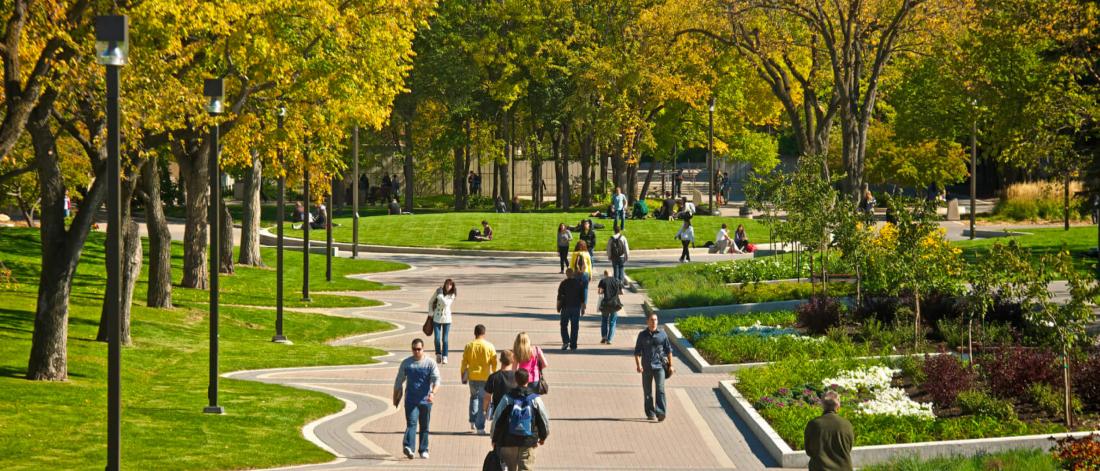 A busy outdoor walking path at the University of Manitoba Fort Garry campus. 