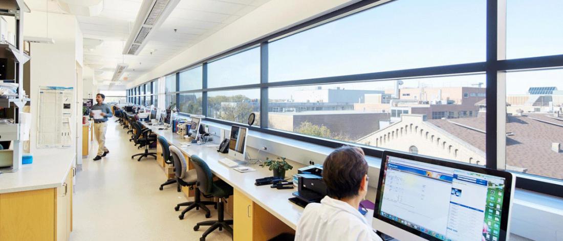 A student works at a computer in an Immunology lab.