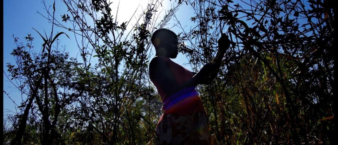 A young woman in a patterned skirt harvests plants in the sunlight.