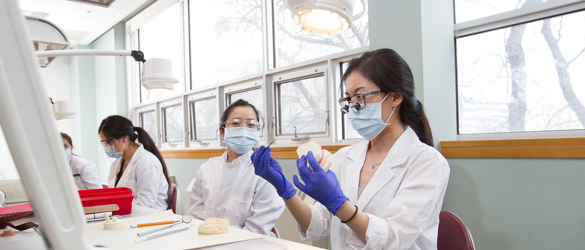 Programs of study | Explore UM | University of Manitoba