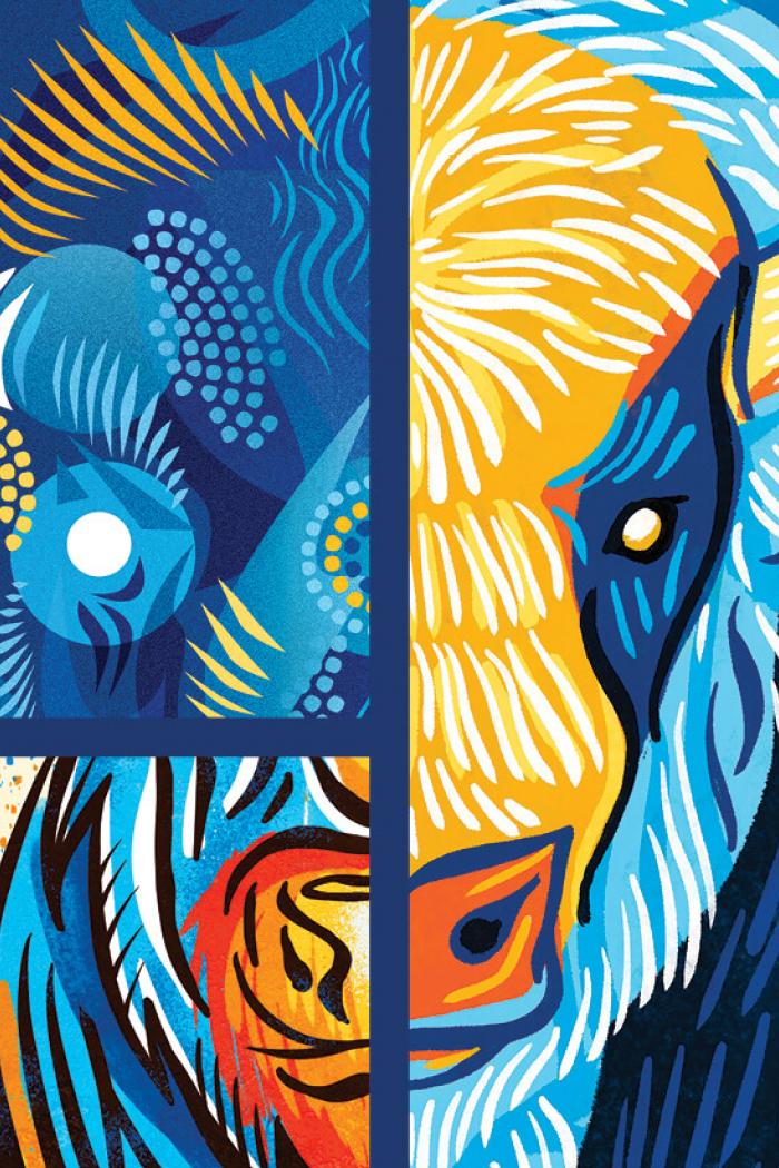 Three bison illustrations combined into one bison face.