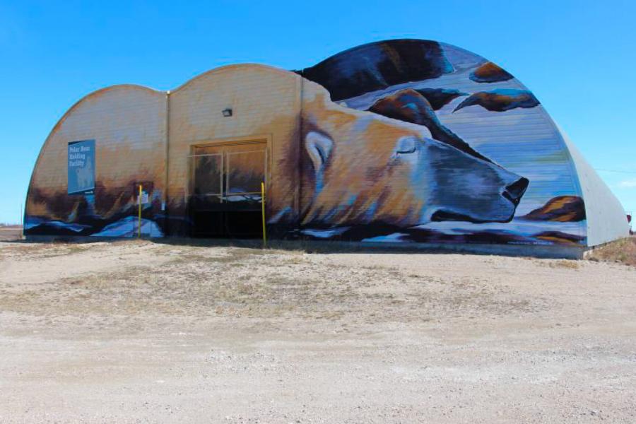 A building with a polar bear mural painted on it. 