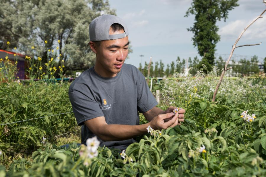 A student kneels as he works in a field.