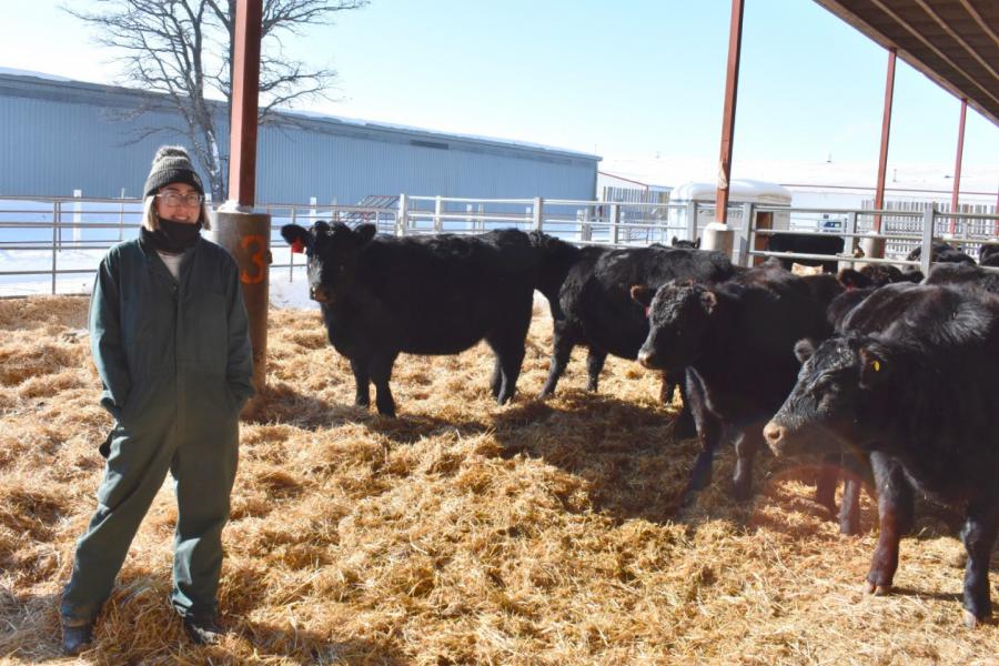 A student stands in an enclosure with a small group of cows standing beside her.