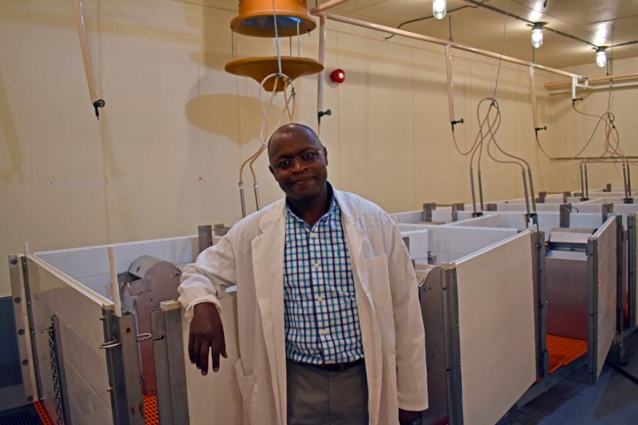 University of Manitoba swine specialist Martin Nyachoti.