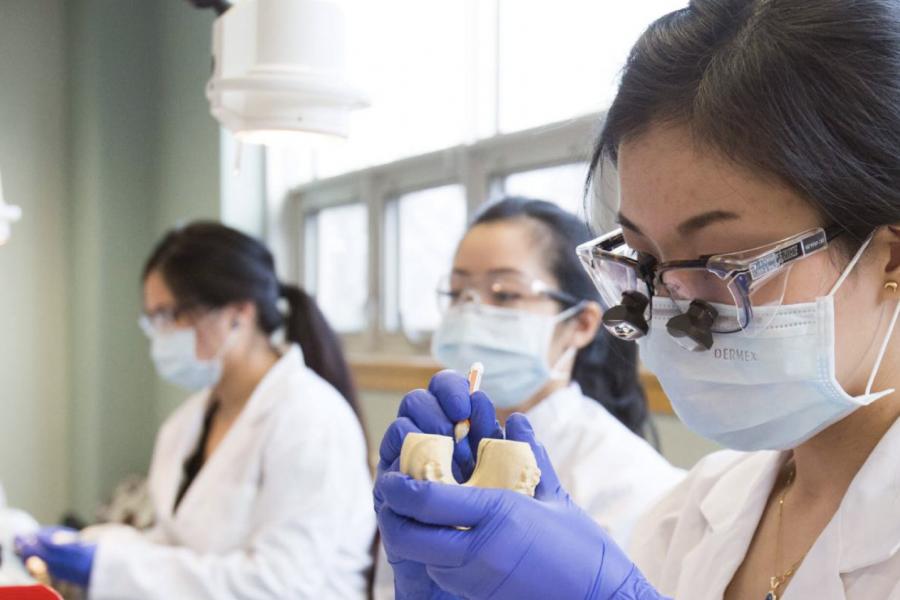 Dentistry students working together in a lab.