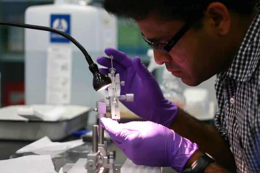 A researcher works with a syringe in a lab.