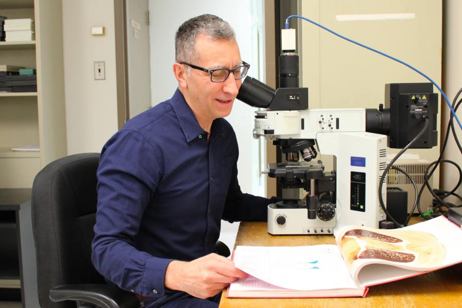 Dr. Gilbert Kirouac in a lab working with a microscope. 