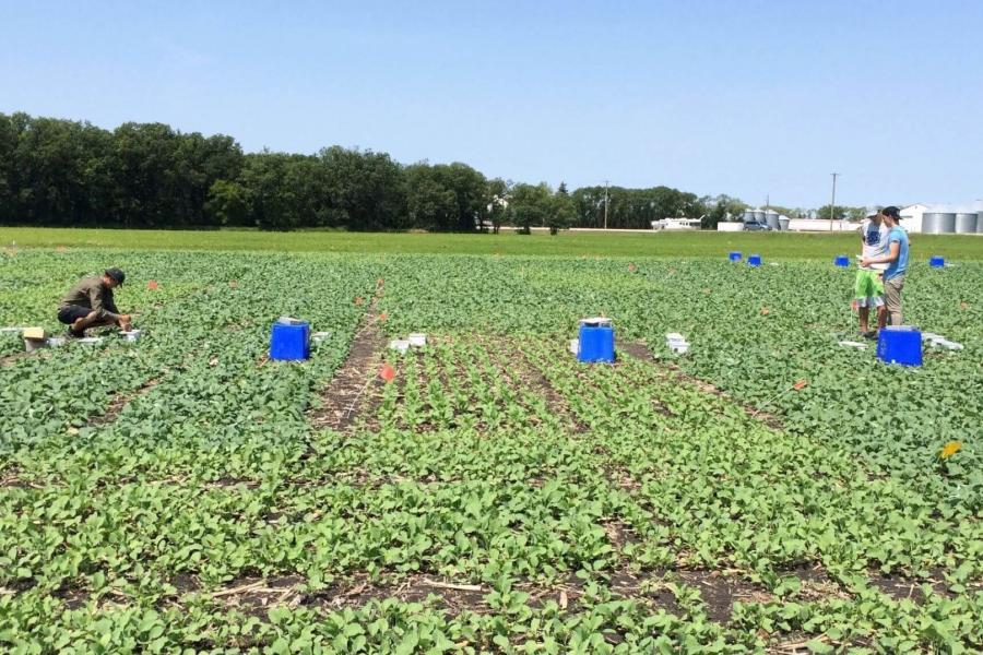 Students working in s soil science field.