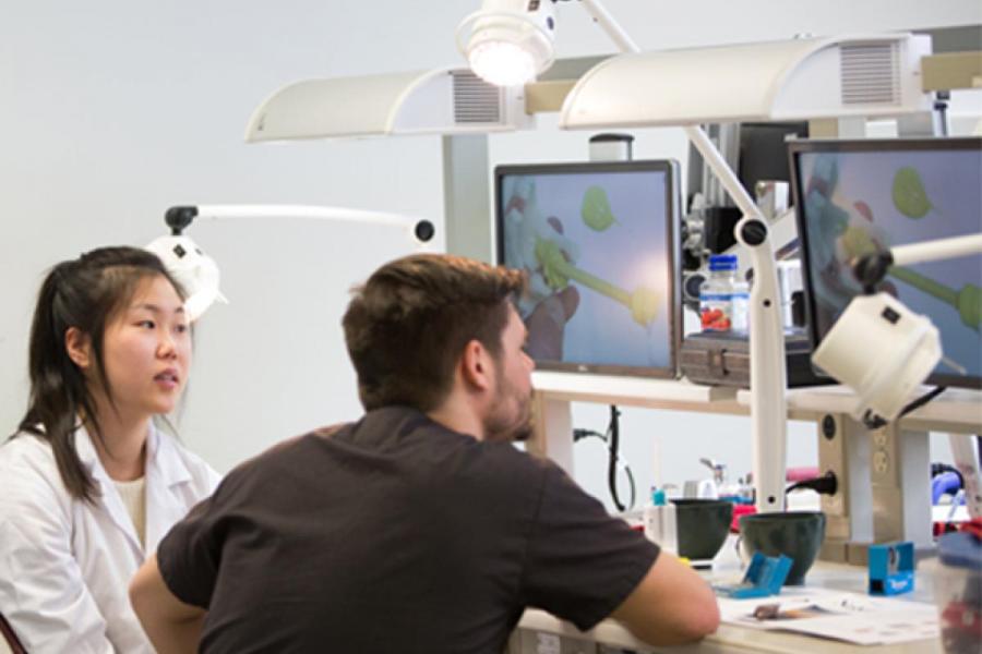 Two students seated in front of two large monitors. 